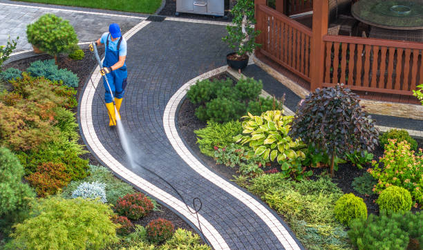 Best Roof Power Washing Services  in Langhorne, PA